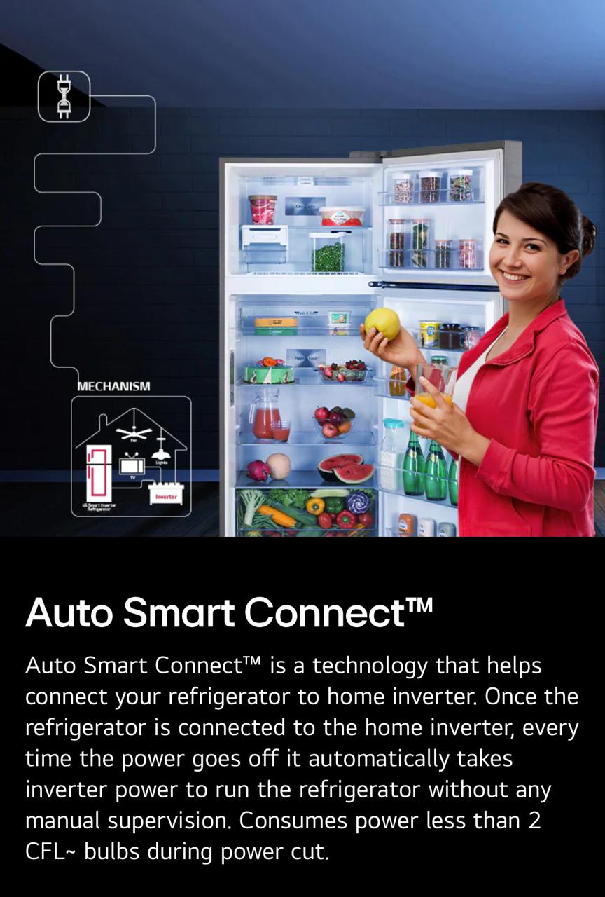 LG 246 L 3 Star Smart Inverter Frost-Free Double Door Refrigerator (Model GL-S262SDSX)