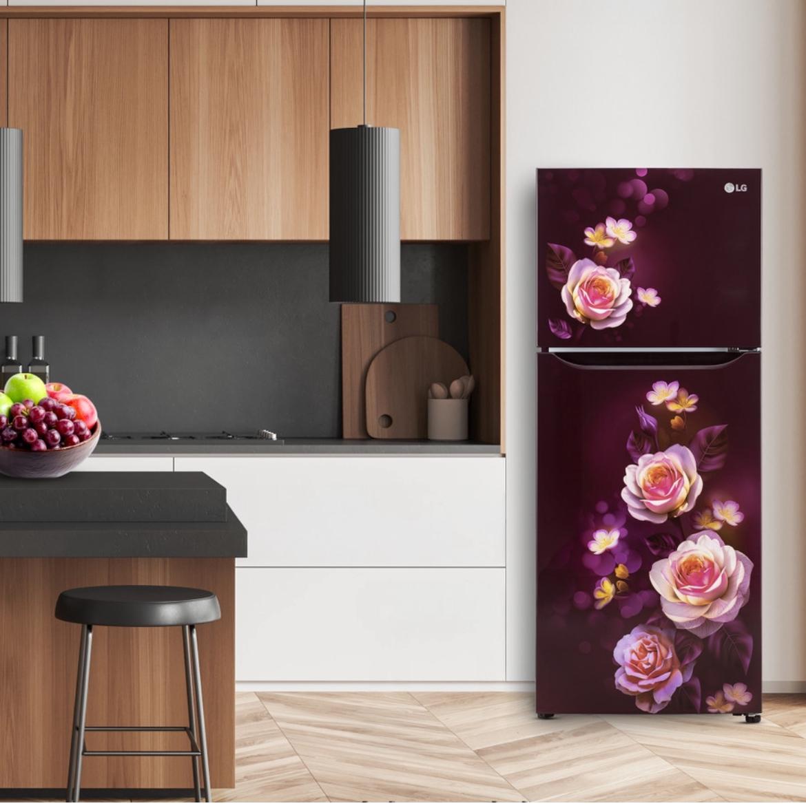 LG 242 L 2 Star Frost-Free Smart Inverter Double-Door Refrigerator (Model GL-N292DSBY)